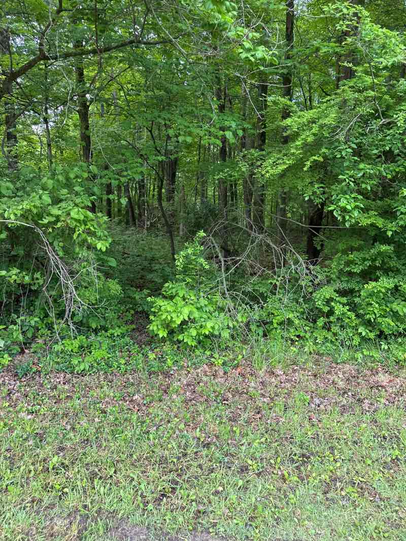 walking near me in Eagle Creek Park in summer