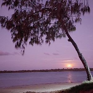 🌟🌈🌴🌼 Maggie 🇦🇺🇸🇪🇫🇮💛