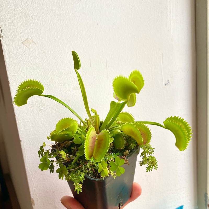 Nguyễn Thành Vinh post 2