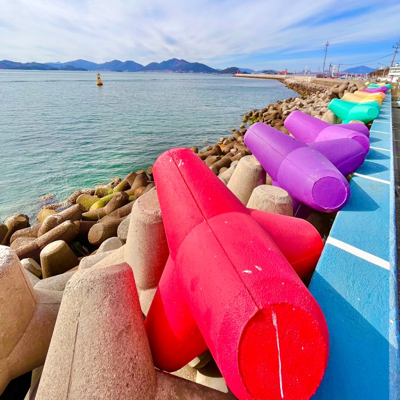 핑크다이버 profile