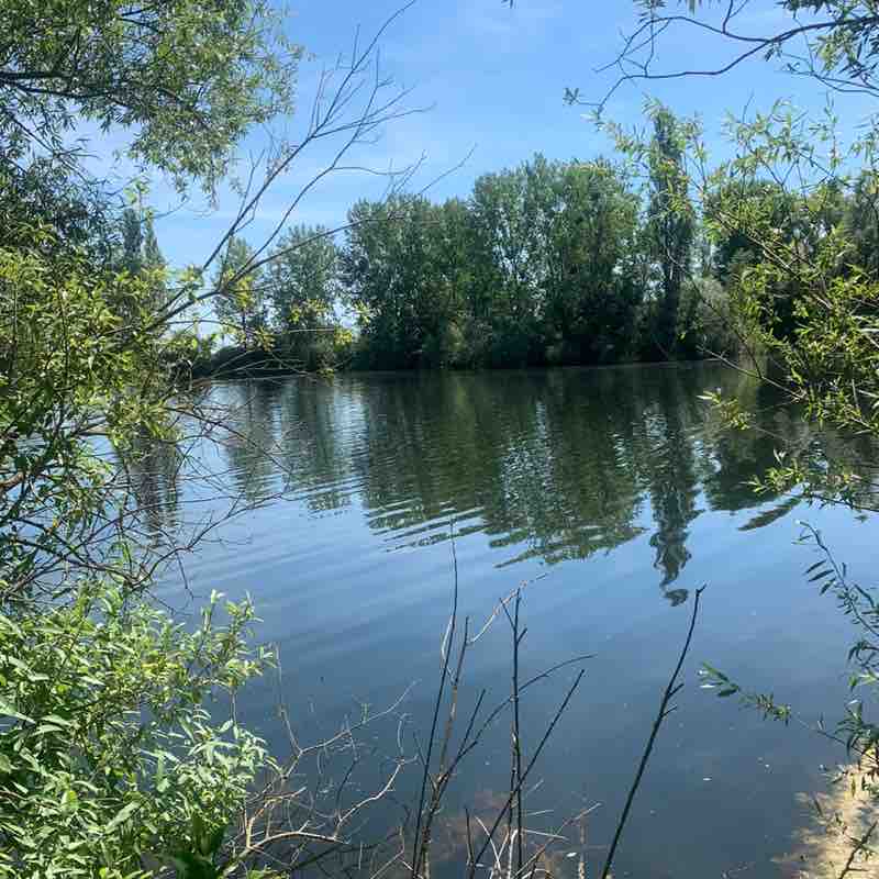 Bern Holly D. post image