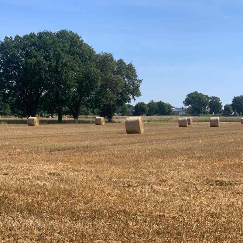 Bern Holly D. post image