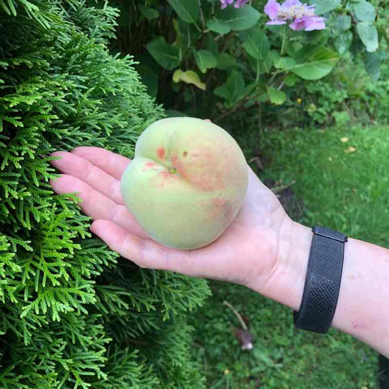 Bern Holly D. post image