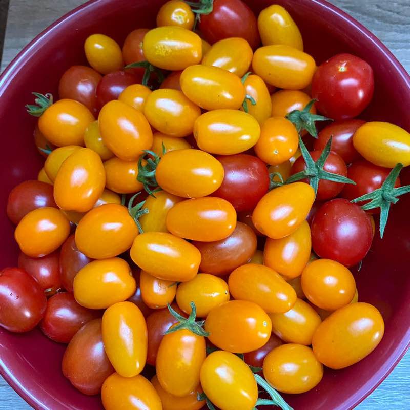 Bern Holly D. post image