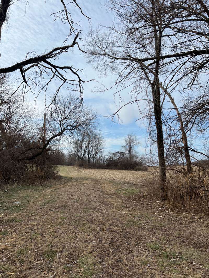 walking near me in Pershall Park in winter