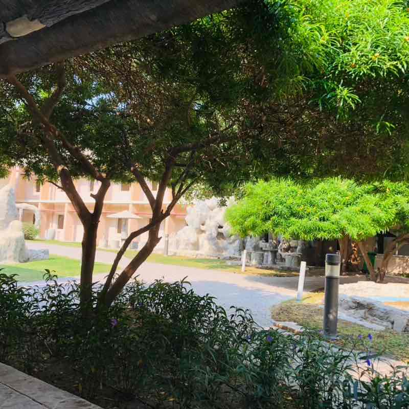 A Walk for Health - RH Ferlen - PT RH post image