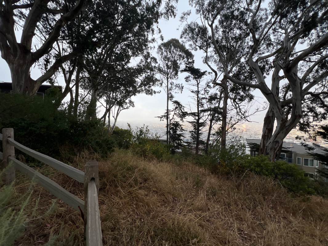 walking near me in Bernal Heights Park in winter