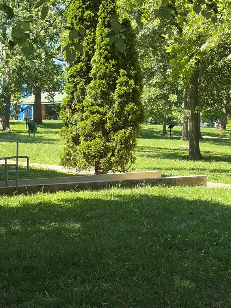 walking near me in College Park in summer