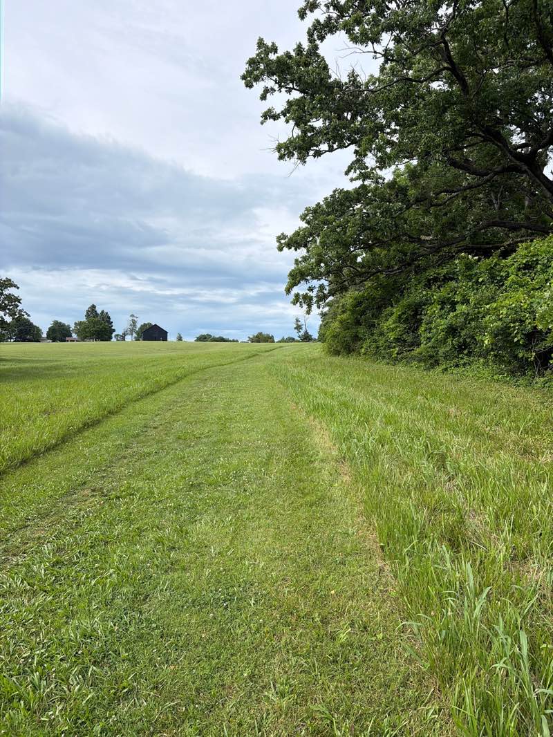walking near me in Winchester Walking Trail in summer