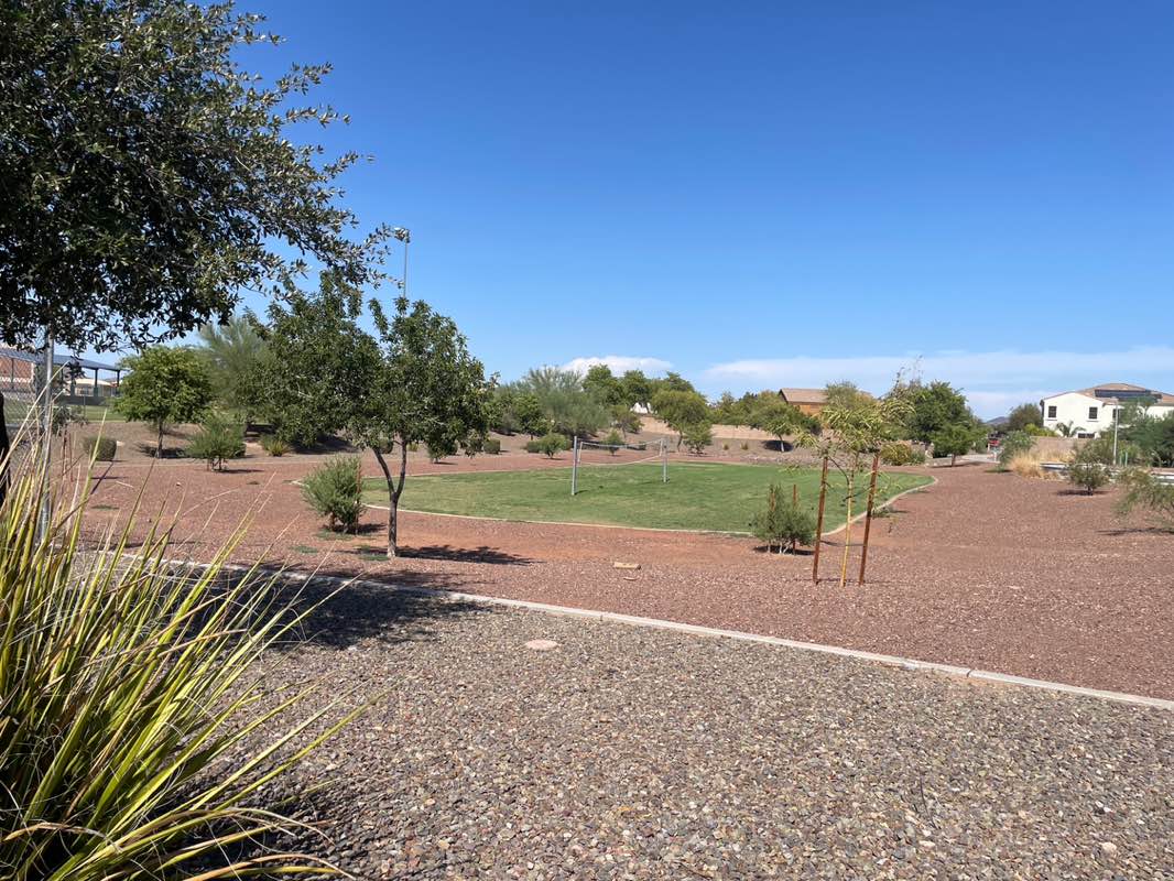 walking near me in Sunrise Mountain Park in summer