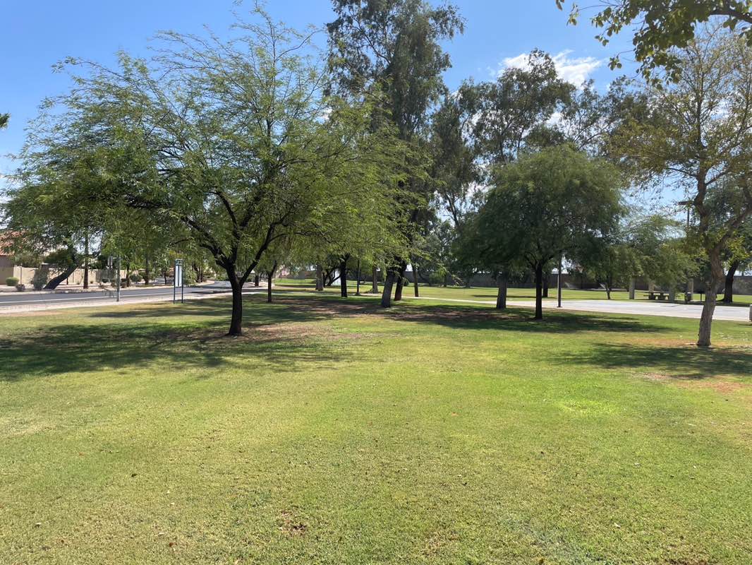 walking near me in Oasis Park in summer