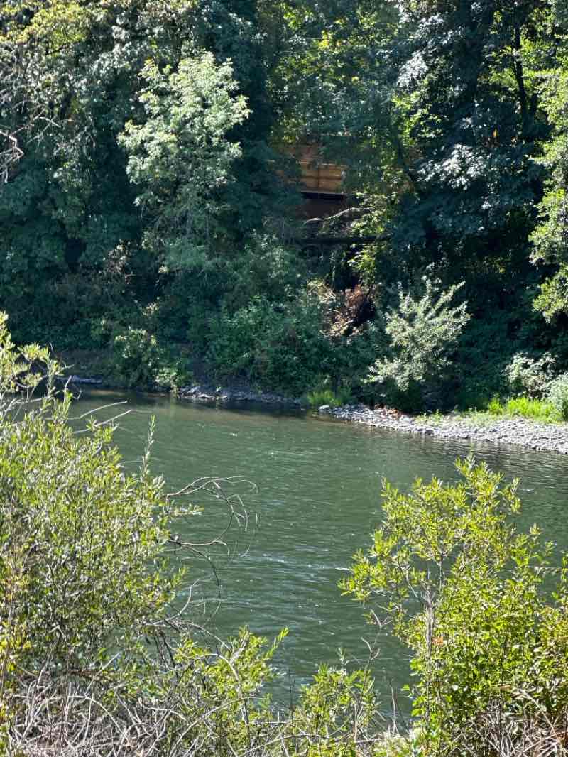 walking near me in John F. Fleming Veteran's Memorial Park in winter