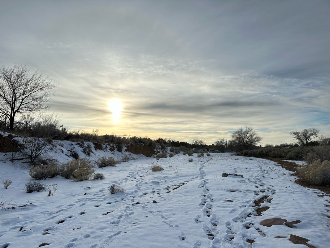 walking near me in Monica Lucero Park in winter