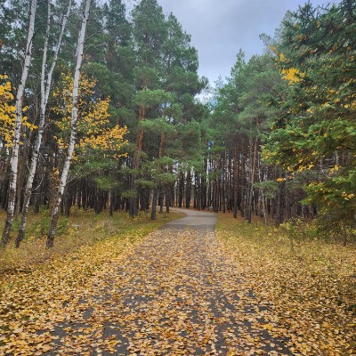 Rovert Travis Moose post 2