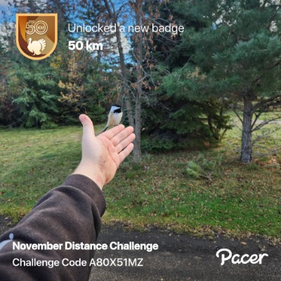 Rovert Travis Moose post 1