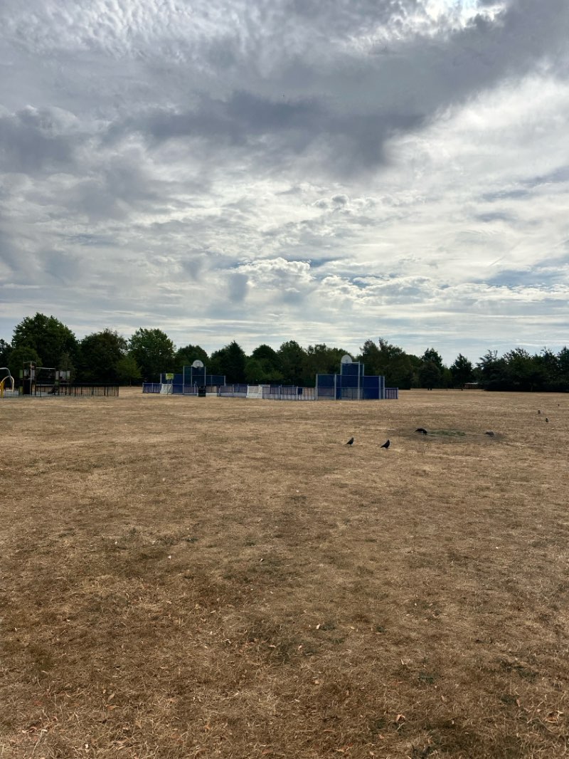 walking near me in Whinfield Recreation Ground in summer