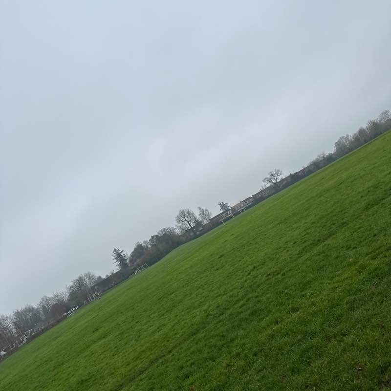 Teddy Bear 🐻 post 1