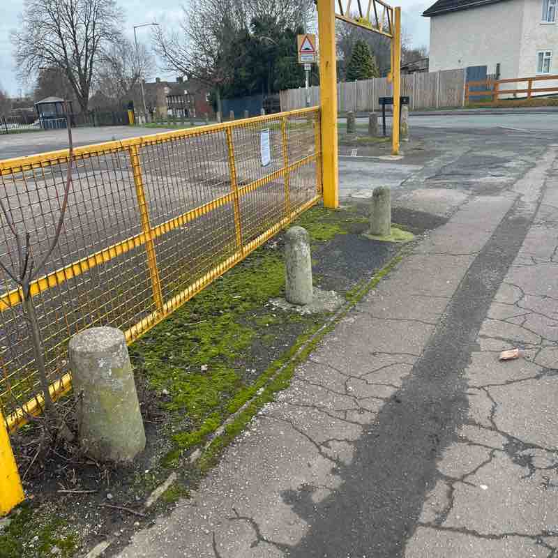 Teddy Bear 🐻 post 1