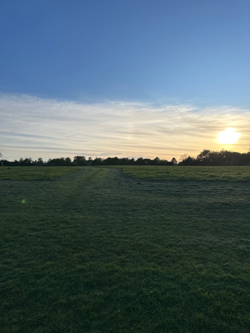 walking near me in Featherbed Lane Recreation Ground in spring