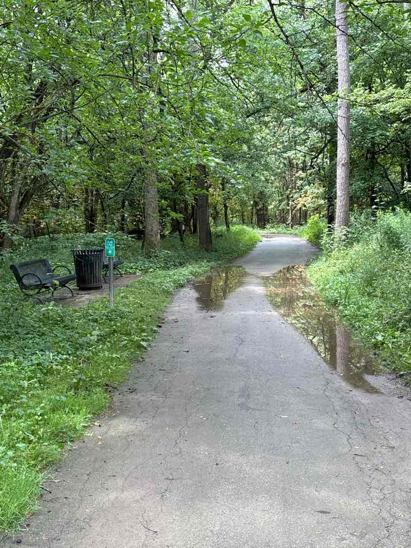 walking near me in Mill Valley Park North in summer