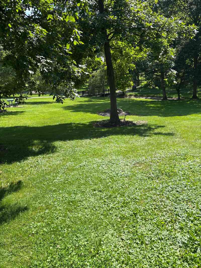 walking near me in Memorial Park in summer