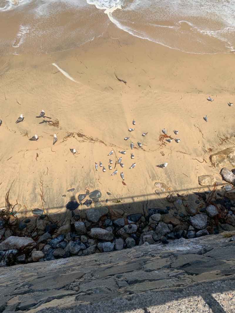 walking near me in Plaza O'Higgins in summer