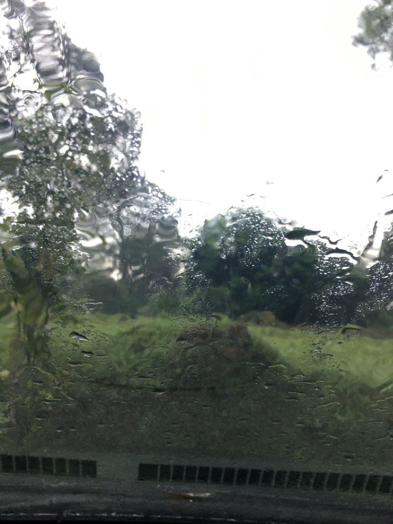 walking near me in Seremban Lake Garden Park in winter