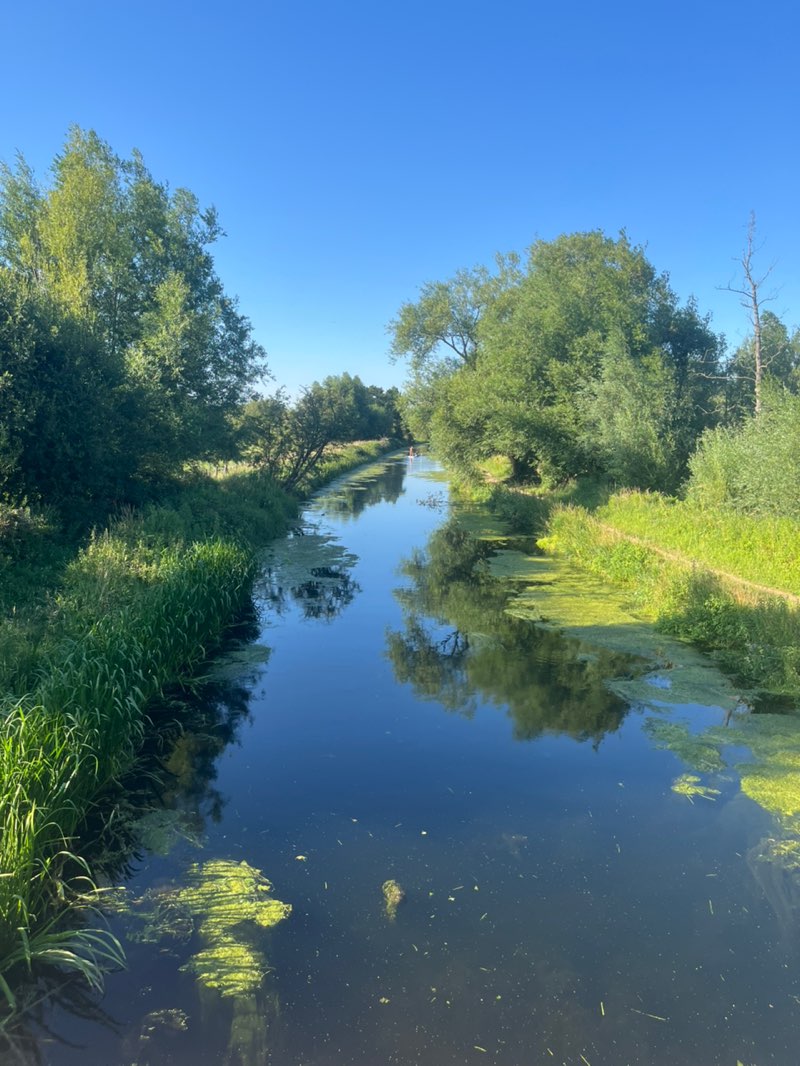 walking near me in Thorley Wash Nature Reserve in summer