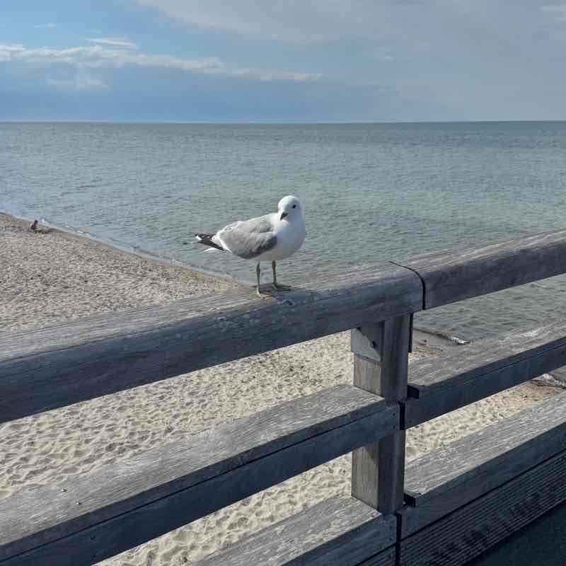 Kathi post 2