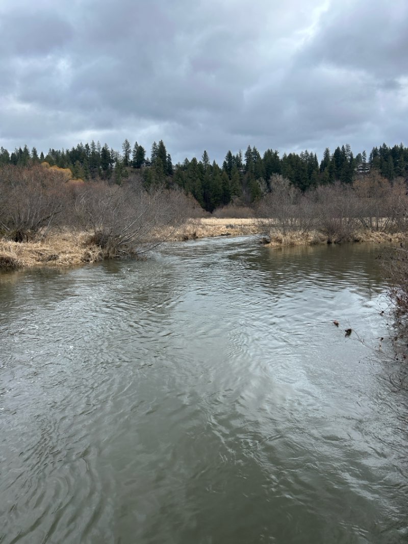 walking near me in Waikiki Springs Wildlife Area in spring