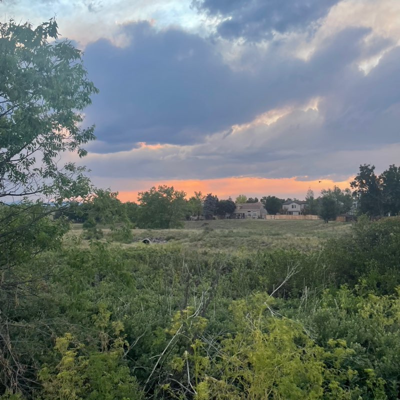 Kai