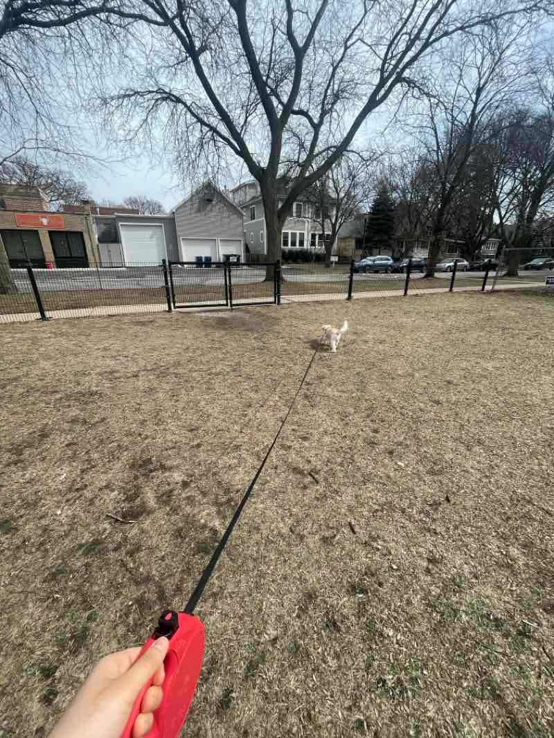 walking near me in Penny Park in spring