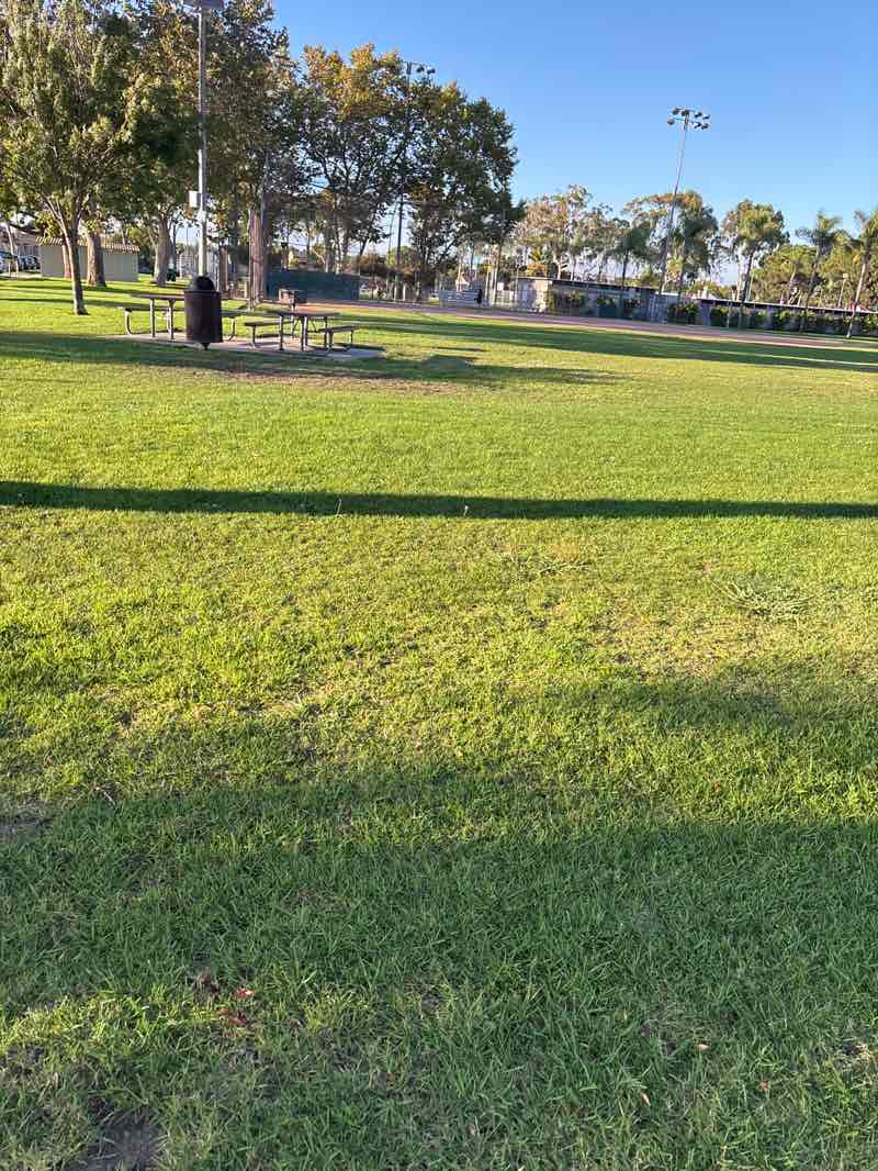 walking near me in Simon Bolivar Park in autumn