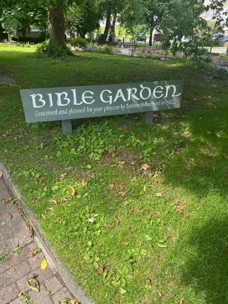 walking near me in Bangor park in summer