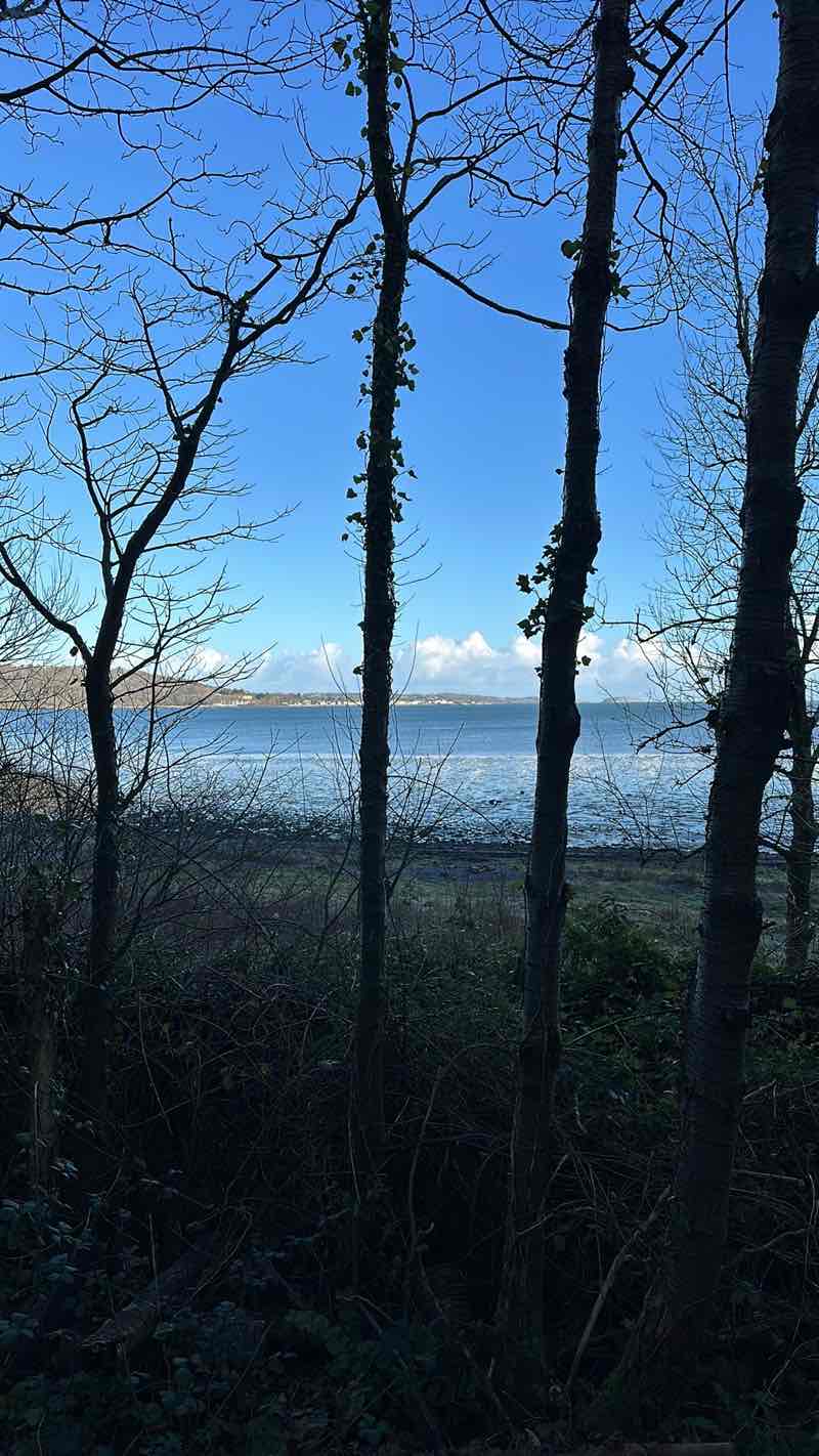 walking near me in Penrhyn Park in winter