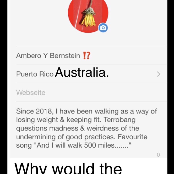 Ambero Y Bernstein ⁉️ post 1