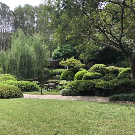 Ambero Y Bernstein ⁉️ post 1