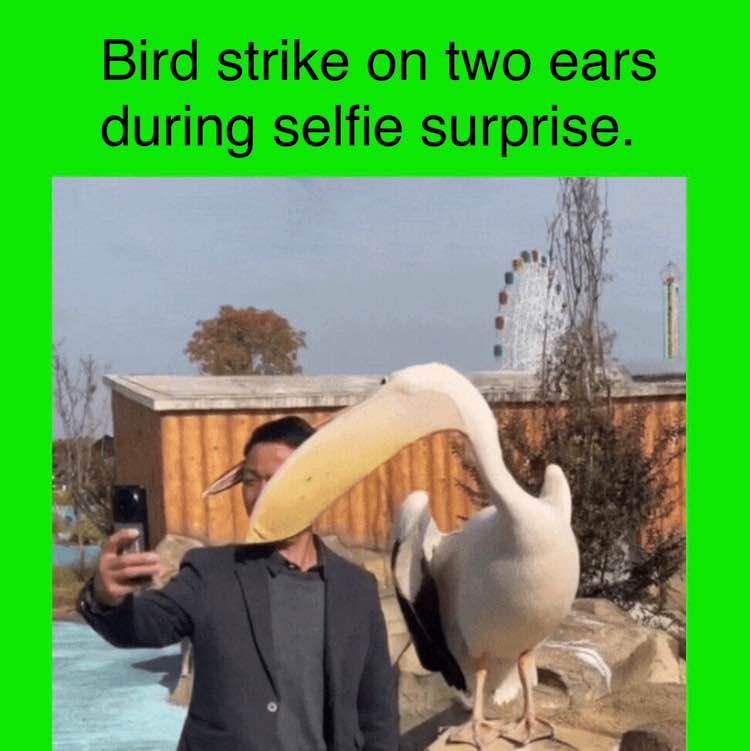 Ambero Y Bernstein ⁉️ post 2