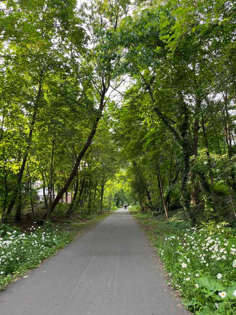 walking near me in Harmon Park in winter
