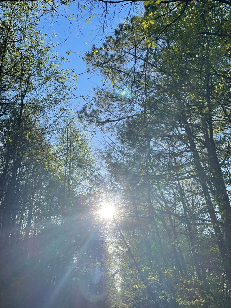 walking near me in Mavell Road Trail Head in winter