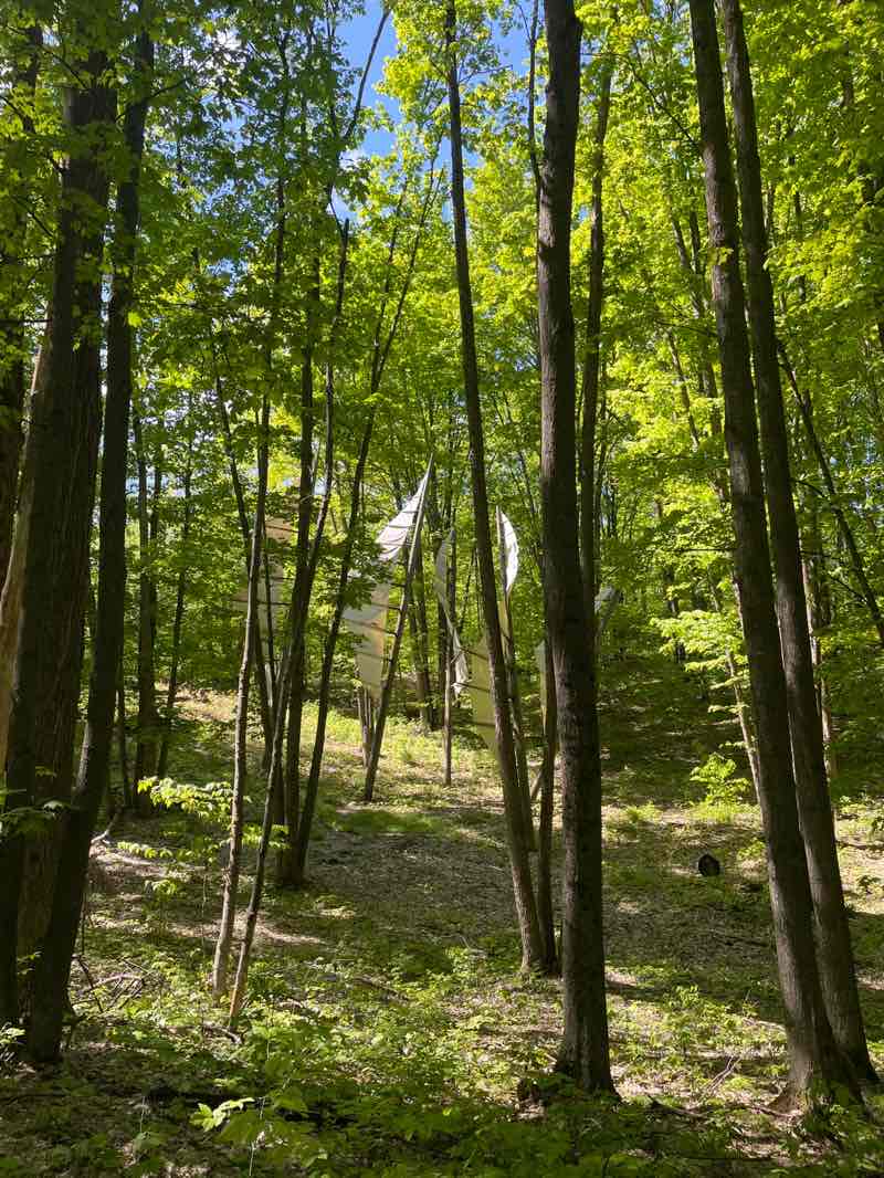 walking near me in Michigan Legacy Art Park in spring