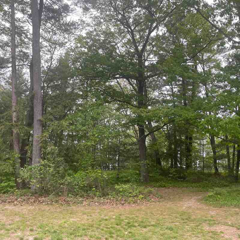 Tetyana 🇺🇦 post 1