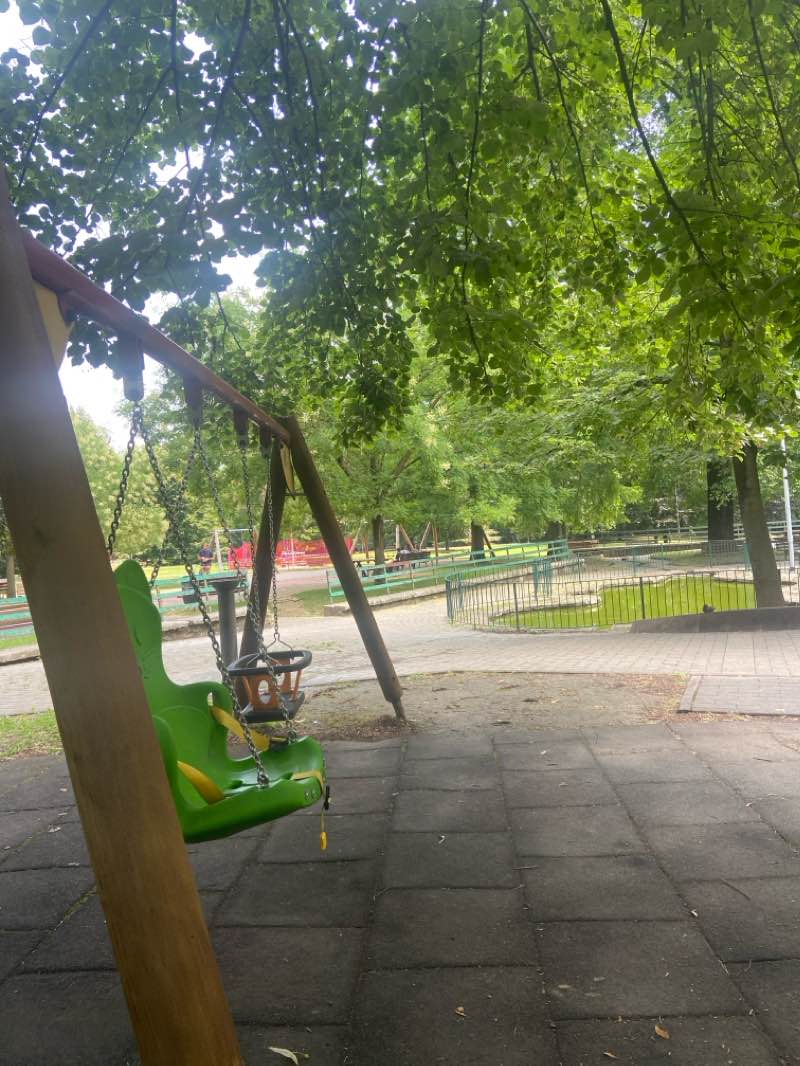 walking near me in Giardino Pubblico di via Radini Tedeschi in winter