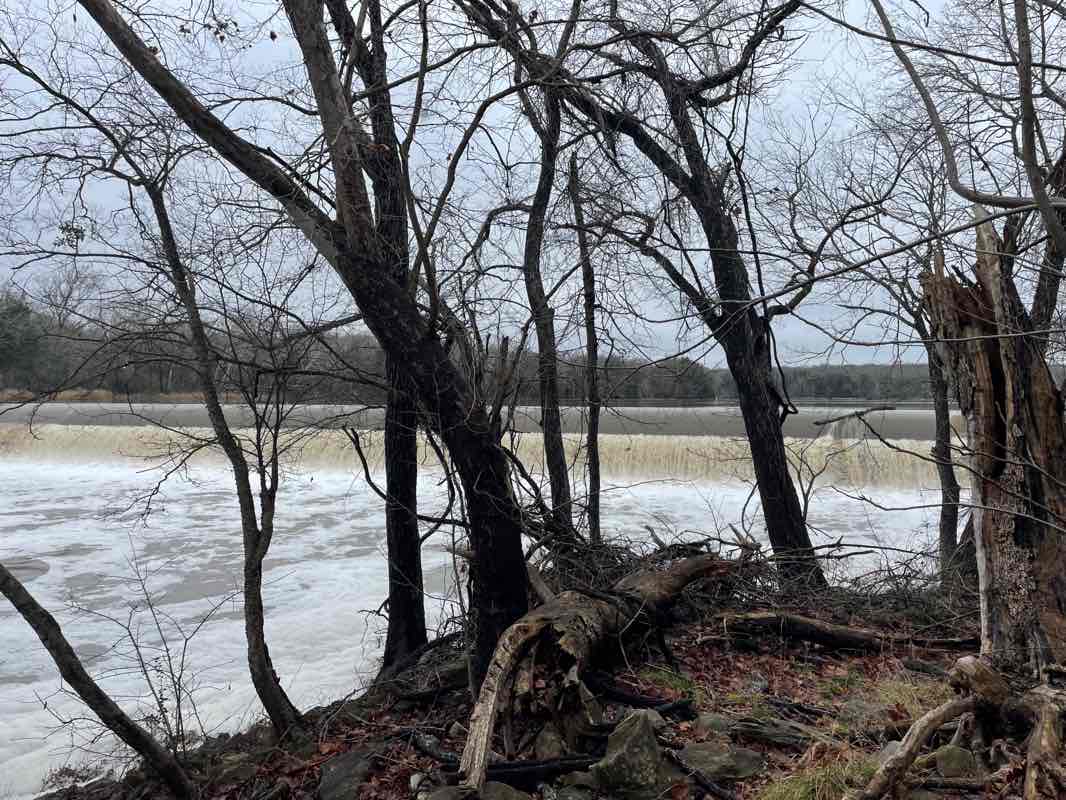walking near me in Fort Parker State Park in winter