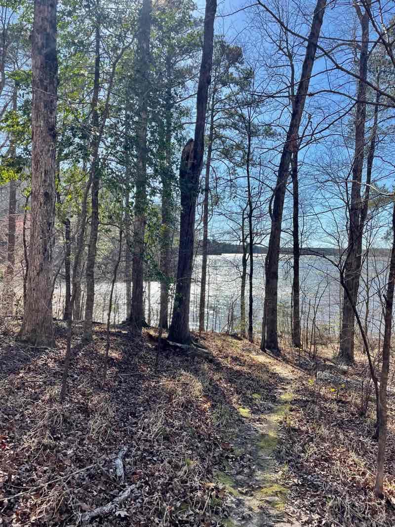 walking near me in Caney Lakes Unit (Kisatchie National Forest) in spring