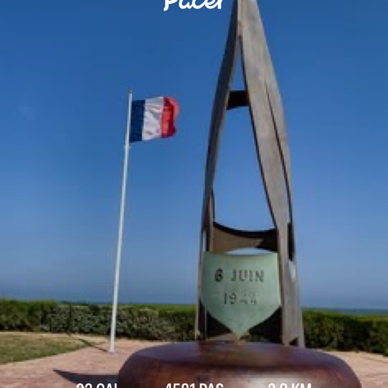 #Fox#14🇫🇷 post 1