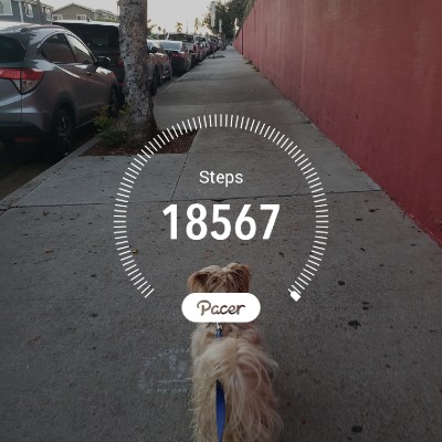 Xochitl Valdez post 1