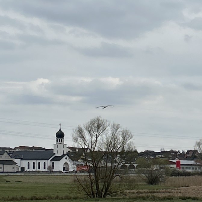 March Steps Challenge Gisela post image