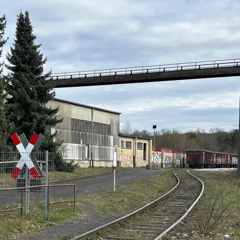 March Steps Challenge Gisela post image