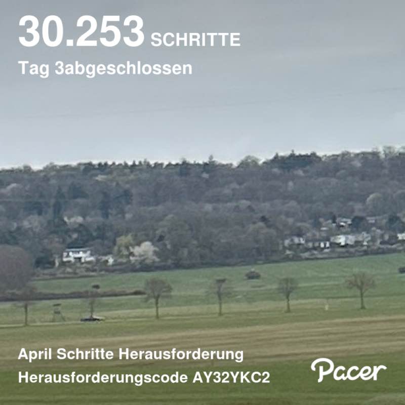 March Steps Challenge Gisela post image